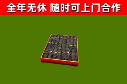 浦东回收海参